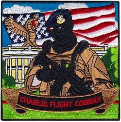 11th Security Forces Squadron C Flight
