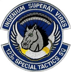 123d Special Tactics Squadron
