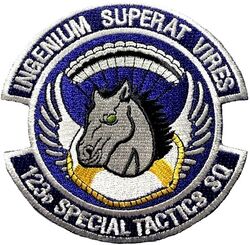 123d Special Tactics Squadron
