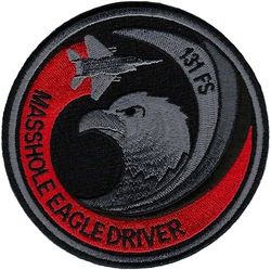 131st Fighter Squadron F-15 Pilot Morale
