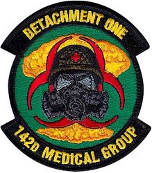 142d Medical Group Detachment 1
