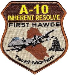 163d Fighter Squadron  Operation INHERENT RESOLVE
Keywords: desert