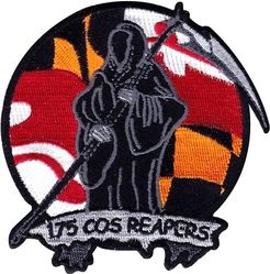 175th Cyberspace Operations Squadron Morale
