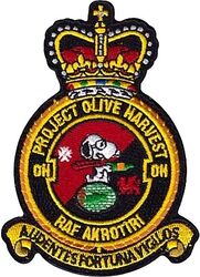 1st Expeditionary Reconnaissance Squadron OLIVE HARVEST Crest
