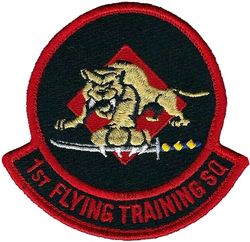 1st Flying Training Squadron

