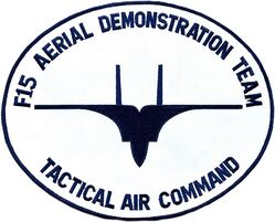 1st Tactical Fighter Wing F-15 Demonstration Team
Back patch.
