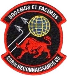 238th Reconnaissance Squadron
