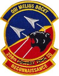 238th Reconnaissance Squadron Morale
Used shortly after being redesignated from a CTS.
