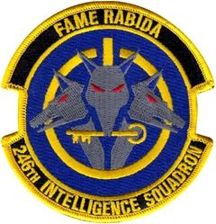 246th Intelligence Squadron
