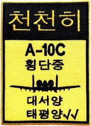 25th Fighter Squadron A-10 Morale
Patterned after a Korean road sign, Korean made.
