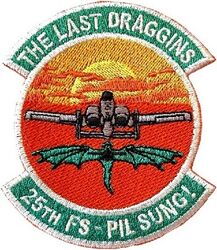 25th Fighter Squadron A-10 Retirement
Korean made.
