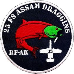 25th Fighter Squadron Exercise RED FLAG ALASKA 2022
Korean made.
