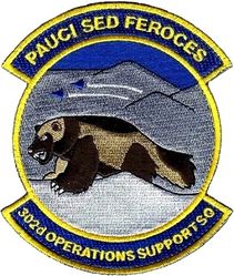 302d Operations Support Squadron
