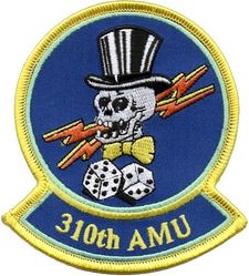 310th Aircraft Maintenance Unit 
