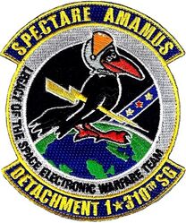 310th Space Group Detachment 1
