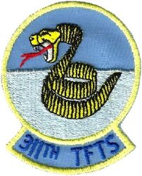 311th Tactical Fighter Training Squadron
Very light yellow border, not green.
