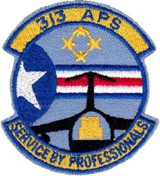 313th Aerial Port Squadron
