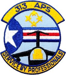 313th Aerial Port Squadron
