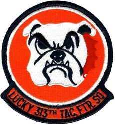 313th Tactical Fighter Squadron 
