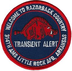 314th Aircraft Maintenance Squadron Transient Alert Section
