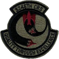 3246th Component Repair Squadron
Keywords: subdued