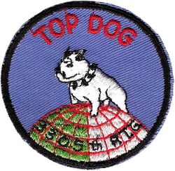 3305th Pilot Training Group (Contract Primary) Top Dog Flight
