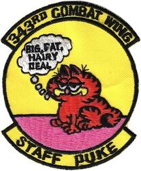 343d Composite Wing Staff Morale
Korean made.
Keywords: Garfield