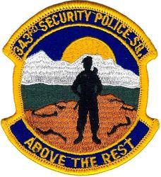 343d Security Police Squadron

