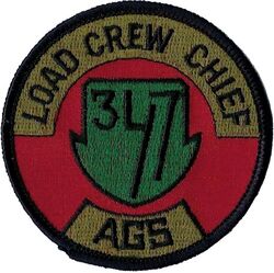 347th Aircraft Generation Squadron Weapons Load Crew Chief 
Computer made.
Keywords: subdued