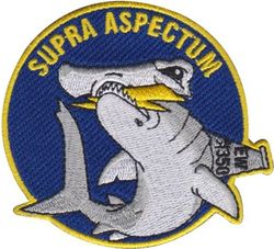 350th Spectrum Warfare Wing Morale
