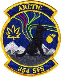354th Security Forces Squadron

