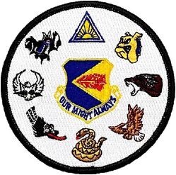 355th Wing Gaggle
