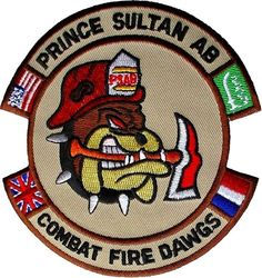 363d Expeditionary Civil Engineering Squadron Fire Protection Flight
Keywords: Desert