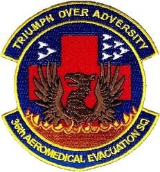 36th Aeromedical Evacuation Squadron
