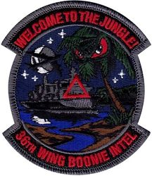 36th Wing Intelligence Section Morale
