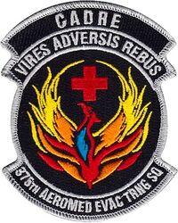 375th Aeromedical Evacuation Training Squadron Cadre
