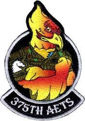375th Aeromedical Evacuation Training Squadron Morale
