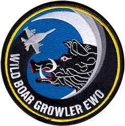 390th Electronic Combat Squadron EA-18G Electronic Warfare Officer
