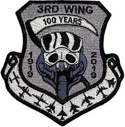 3d Wing 100th Anniversary
