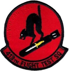 413th Flight Test Squadron Detachment 1
