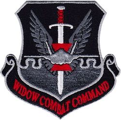 421st Fighter Squadron F-35 Air Combat Command Morale
