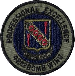 42d Bombardment Wing, Heavy Professional Excellence Award
Keywords: subdued