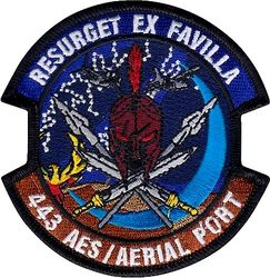 443d Aeromedical Evacuation Squadron/Aerial Port 
