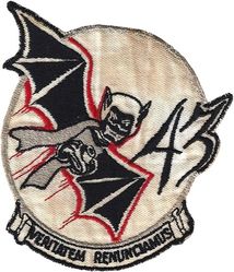 43d Tactical Reconnaissance Squadron, Night Photographic
US made.
