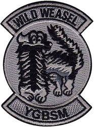 480th Fighter Squadron Wild Weasel Morale
