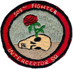 509th Fighter-Interceptor Squadron
RVN made.
