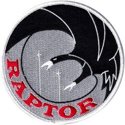 50th Flying Training Squadron Raptor Flight
