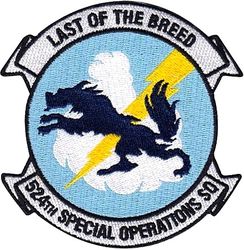 524th Special Operations Squadron Morale
