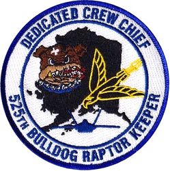 525th Aircraft Maintenance Unit F-22 Dedicated Crew Chief
