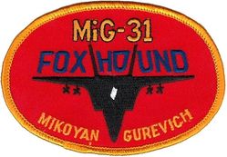 527th Aggressor Squadron Morale
Originated with 527 AS, adopted for use by other aggressor units. Design borrowed from official F-15 Eagle oval patch.
